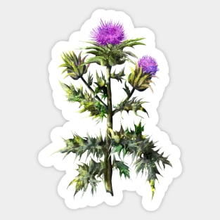 Thistle watercolor print Sticker